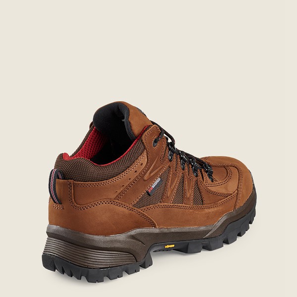 Mens Red Wing Truhiker - 3-inch Waterproof Safety Toe - Hiking Boots Brown - RNX631879